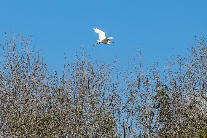 The project stretches along both sides of the Trinity River and both north and south of Interstate Highway 10 about halfway between Houston and Beaumont, Texas. Much of the Project is accessible by boat from boat launch facilities at Hugo Point Park (Gou Hole Road off FM 565 south from I-10), Trinity River Island Recreation Area (the Project Office area just south of I-10 on Lock and Dam Road from exits 806 and 807), under the high bridge over the Trinity River (accessed from the Trinity River Boat Ramp Turnaround off I-10), and a hand-launch canoe/kayak area at Cedar Hill Park (from I-10 take FM 563 north to Lake Charlotte Road west to the park).