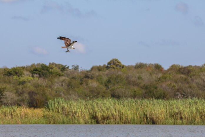 The project stretches along both sides of the Trinity River and both north and south of Interstate Highway 10 about halfway between Houston and Beaumont, Texas. Much of the Project is accessible by boat from boat launch facilities at Hugo Point Park (Gou Hole Road off FM 565 south from I-10), Trinity River Island Recreation Area (the Project Office area just south of I-10 on Lock and Dam Road from exits 806 and 807), under the high bridge over the Trinity River (accessed from the Trinity River Boat Ramp Turnaround off I-10), and a hand-launch canoe/kayak area at Cedar Hill Park (from I-10 take FM 563 north to Lake Charlotte Road west to the park).