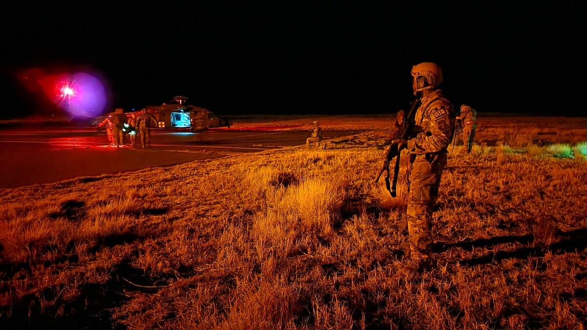 Army and Air Force Reserve members conduct patient night time loading operations.
