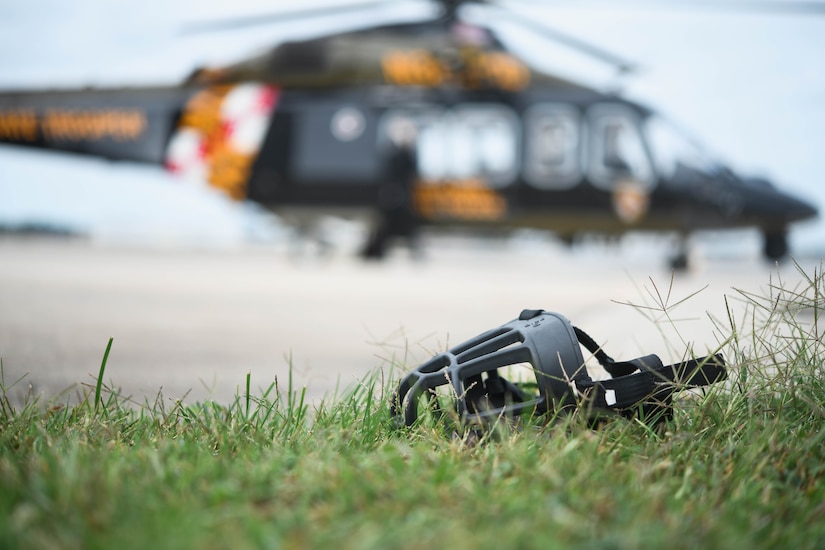 A muzzle sits in grass.