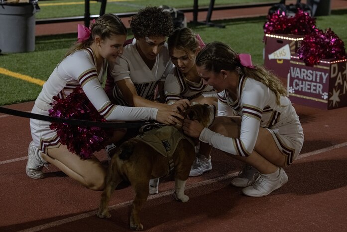 U.S. Marine Corps Pfc. Bruno, the mascot for Marine Corps Recruit Depot San Diego, is greeted by Point Loma cheerleaders at the Point Loma High School football game, San Diego, Oct. 5, 2023. The mascot's job is to boost morale, participate in outreach work, and attend events and ceremonies. (U.S. Marine Corps photo by Lance Cpl. Jacob B. Hutchinson)