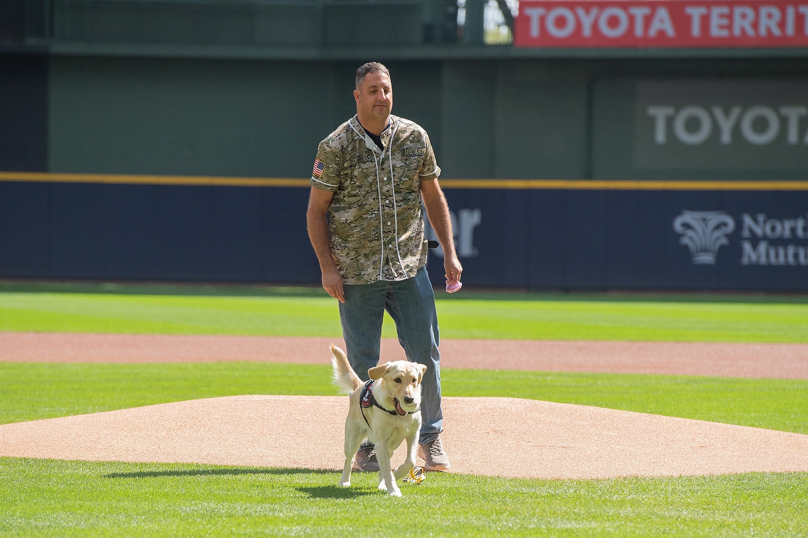 Jay Wilson, a retired Wisconsin Army National Guard lieutenant colonel, looks on as his service dog Frosty carries the ceremonial first pitch to home plate Sept. 17 to start a Milwaukee Brewers™ game at American Family Field™ in Milwaukee.