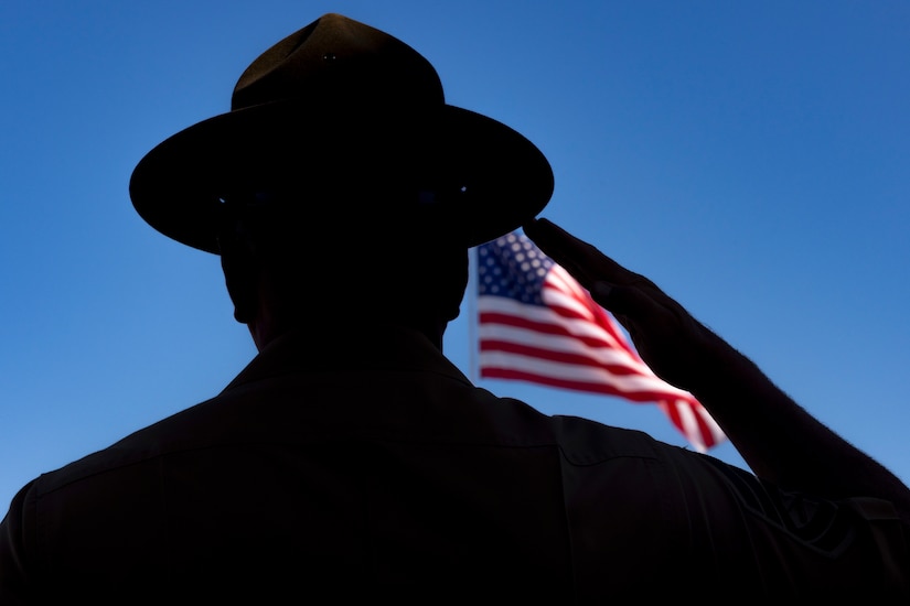 A close-up silhouette of a Marine with an American flag seen between the shoulder and saluting hand.