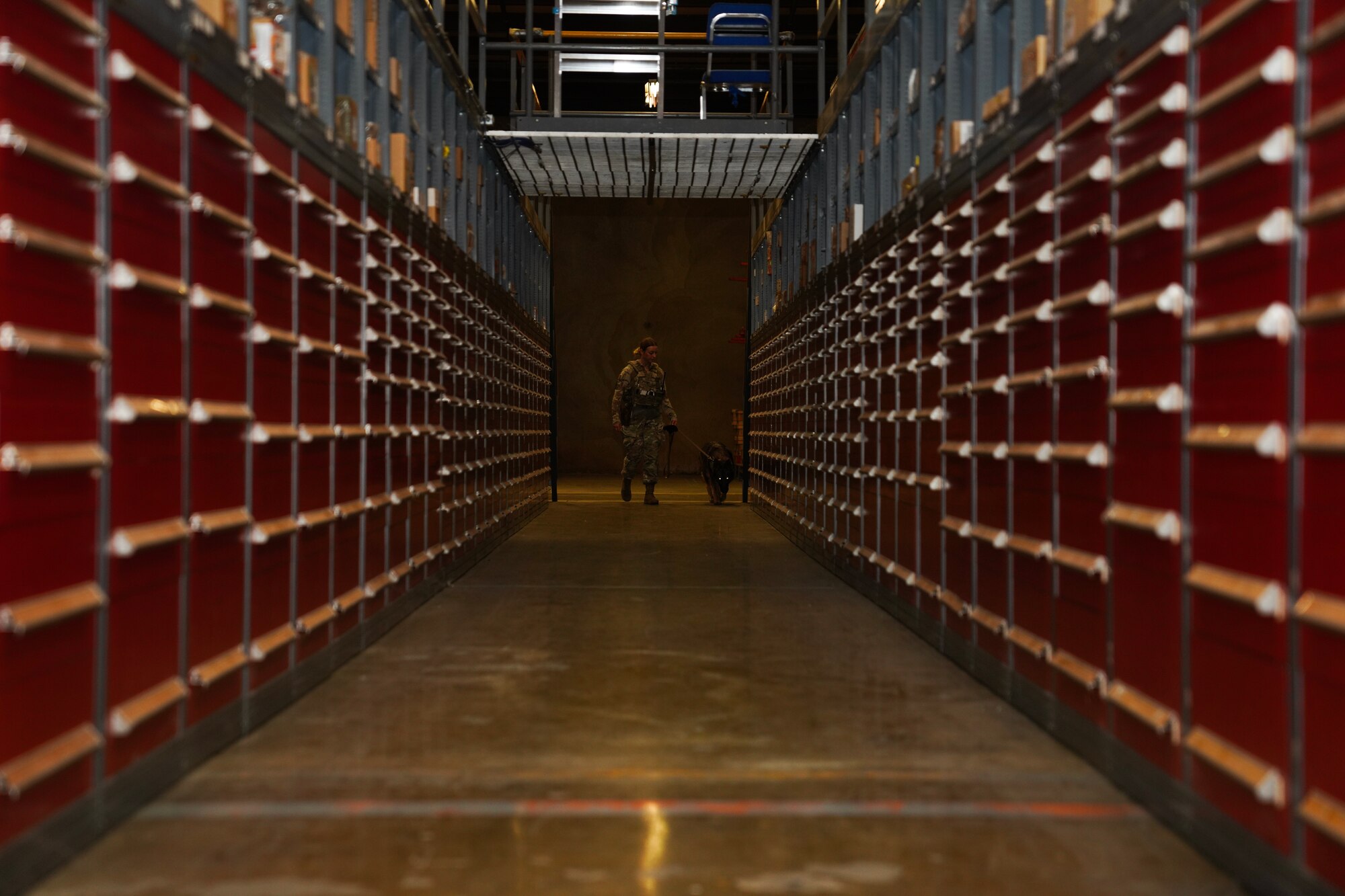 U.S. Air Force Senior Airman Kiersten Vignere, 9th Security Forces Squadron military working dog handler, walks down a warehouse bay with Sofi, 9th SFS military working dog, while conducting explosive detection training Sept. 14, 2023, at Beale Air Force Base, California.