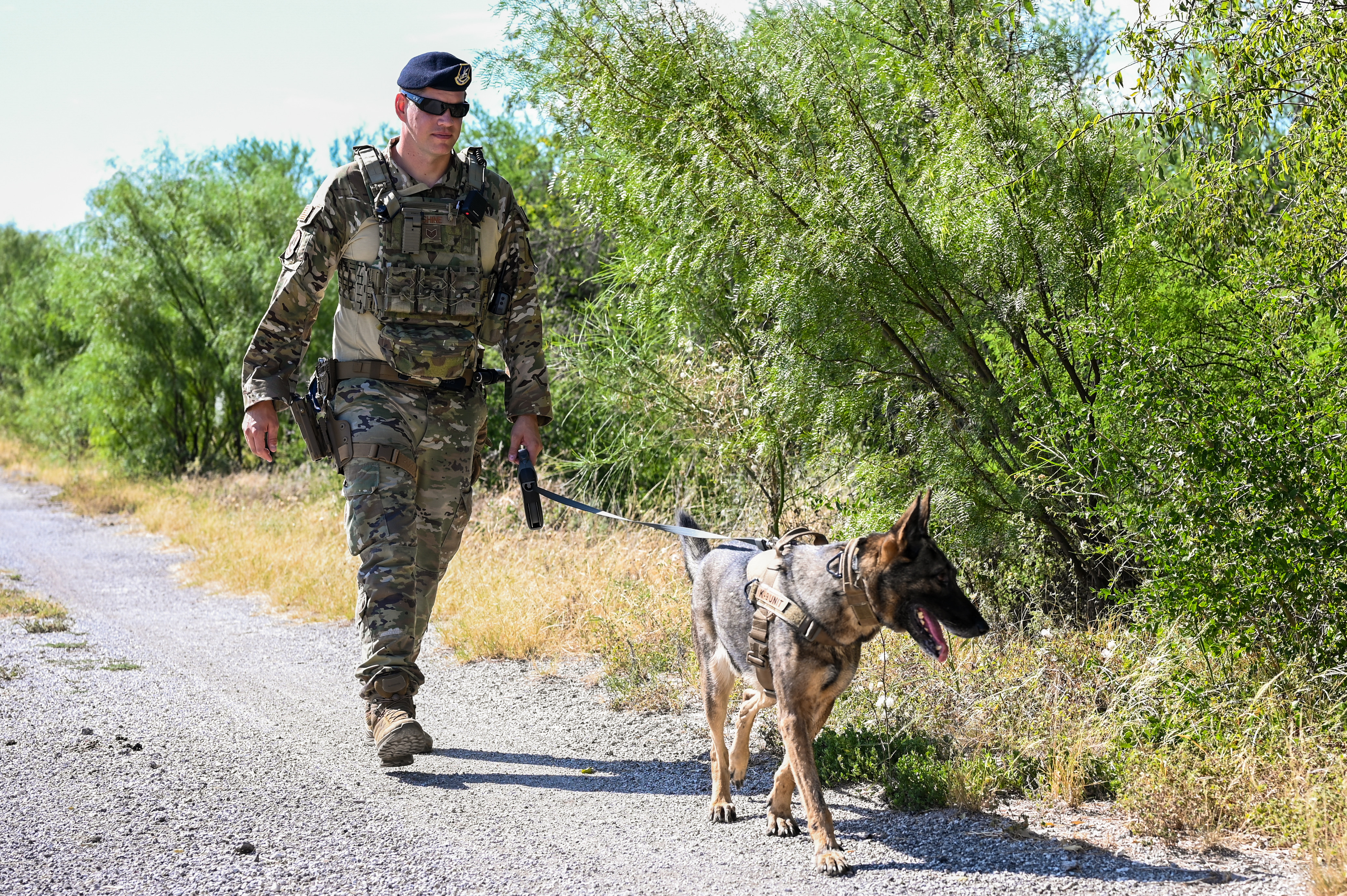 The dedication of Defenders, K-9 partners > Laughlin Air Force