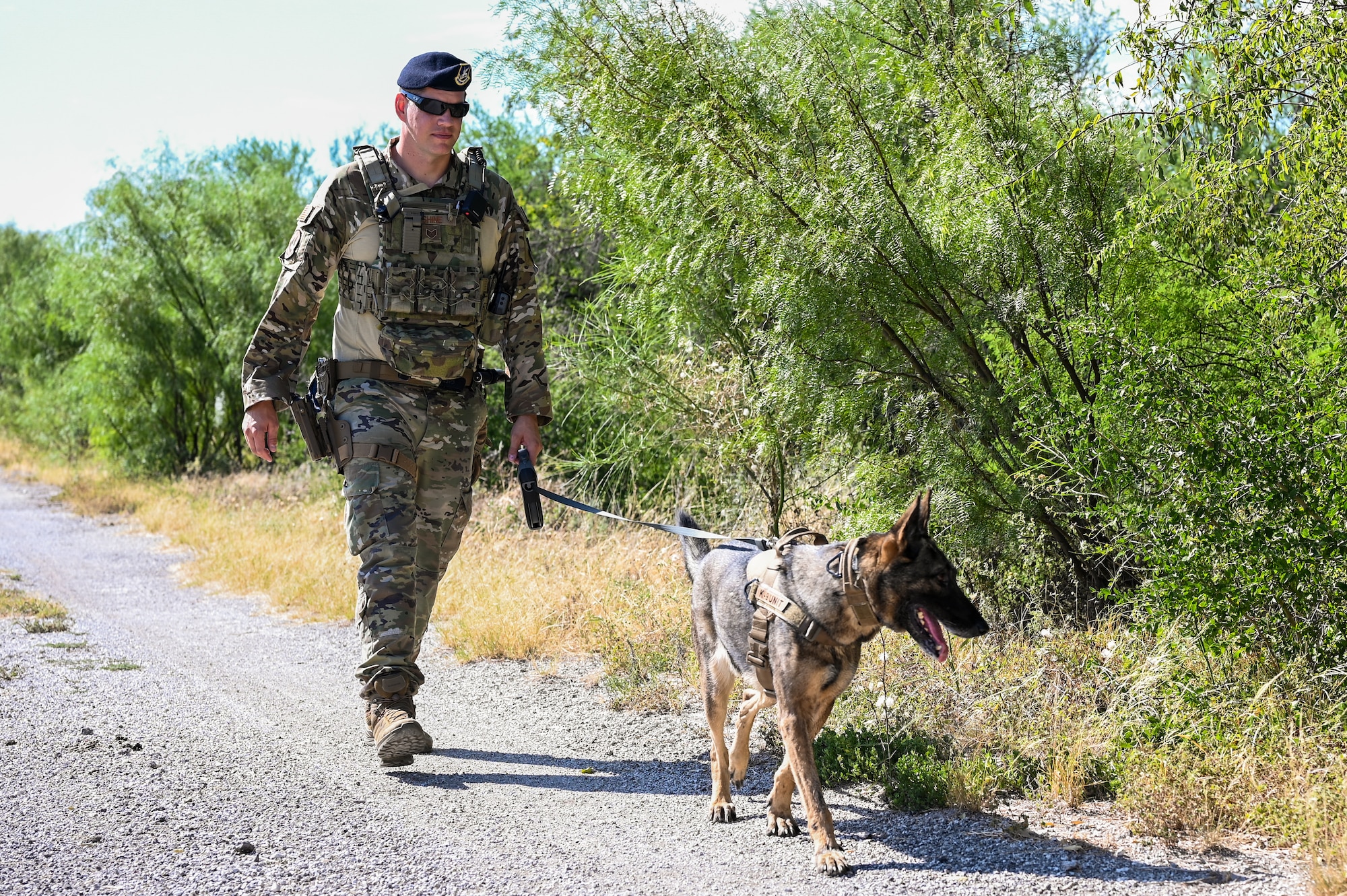 Laughlin is home to dedicated Defenders and canine companions who have play a pivotal role in safeguarding a mission of building combat-ready Airmen, leaders and pilots.