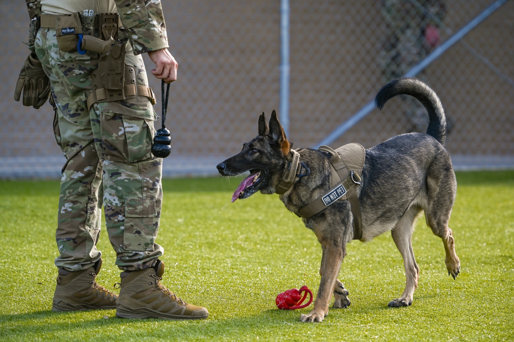 Laughlin is home to dedicated Defenders and canine companions who have play a pivotal role in safeguarding a mission of building combat-ready Airmen, leaders and pilots.