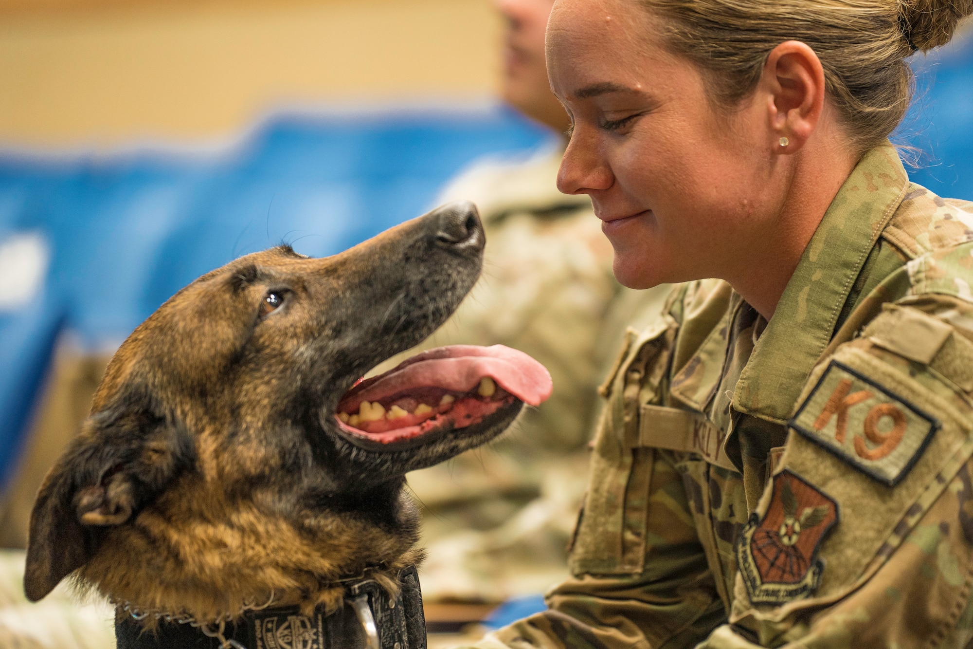 MWD retires from the Air Force > Kirtland Air Force Base > Article