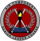 Air Component Senior Leader Course emblem