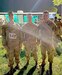 From left, U.S. Army Medical Materiel Agency Capts. Andrew Whittenbarger, Martin Grider and Raymond Miller pose for a group photo prior to the start of the Norwegian Foot March, Oct. 1, at Fort Detrick, Maryland. Miller finished first overall in the event, topping the field of 101 participants. (Photo Credit: Courtesy)