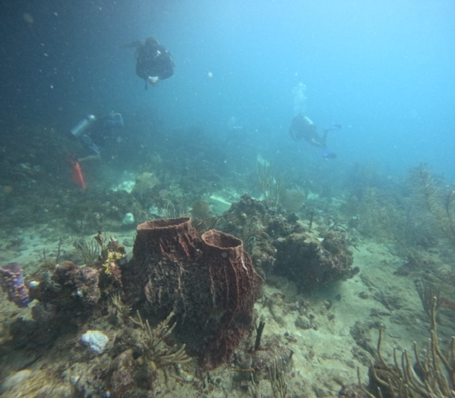 National Oceanic and Atmospheric Administration divers conduct marine and coral assessment on the ocean floor around the Bonnie G off Cyril E. King Airport, St. Thomas, Oct. 14, 2023. NOAA experts determined salvage operations are not impacting coral in the area. (NOAA photo by Sean Griffin)