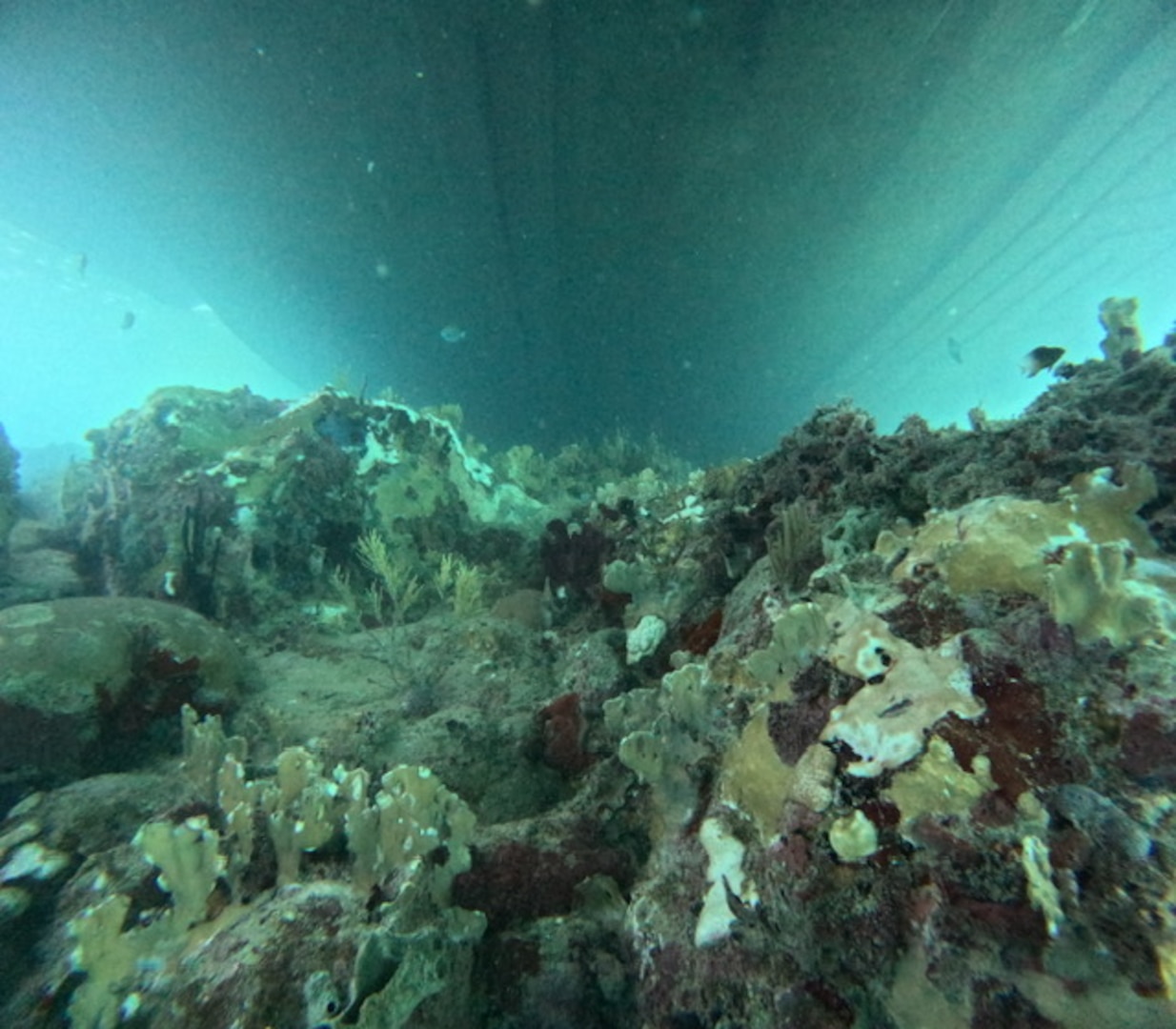 National Oceanic and Atmospheric Administration divers conduct marine and coral assessment on the ocean floor around the Bonnie G off Cyril E. King Airport, St. Thomas, Oct. 14, 2023. NOAA experts determined salvage operations are not impacting coral in the area. (NOAA photo by Sean Griffin)