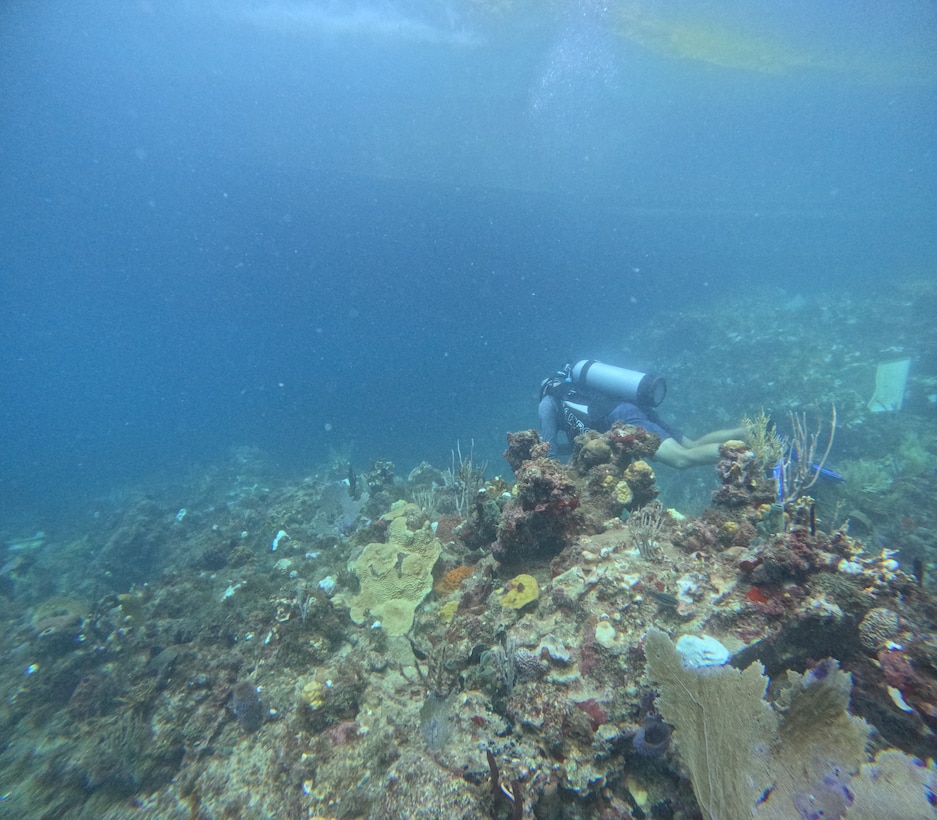 National Oceanic and Atmospheric Administration divers conduct marine and coral assessment on the ocean floor around the Bonnie G off Cyril E. King Airport, St. Thomas, Oct. 14, 2023. NOAA experts determined salvage operations are not impacting coral in the area. (NOAA photo by Sean Griffin)