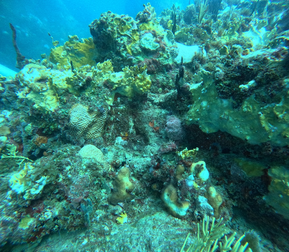 National Oceanic and Atmospheric Administration divers conduct marine and coral assessment on the ocean floor around the Bonnie G off Cyril E. King Airport, St. Thomas, Oct. 14, 2023. NOAA experts determined salvage operations are not impacting coral in the area. (NOAA photo by Sean Griffin)