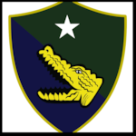 Task Force 61/2 Logo