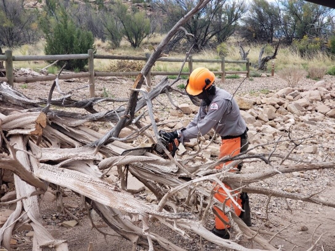 Abiquiu Lake Park Ranger Brady Dunne cuts driftwood collected from the beach, Sept. 23, 2023.