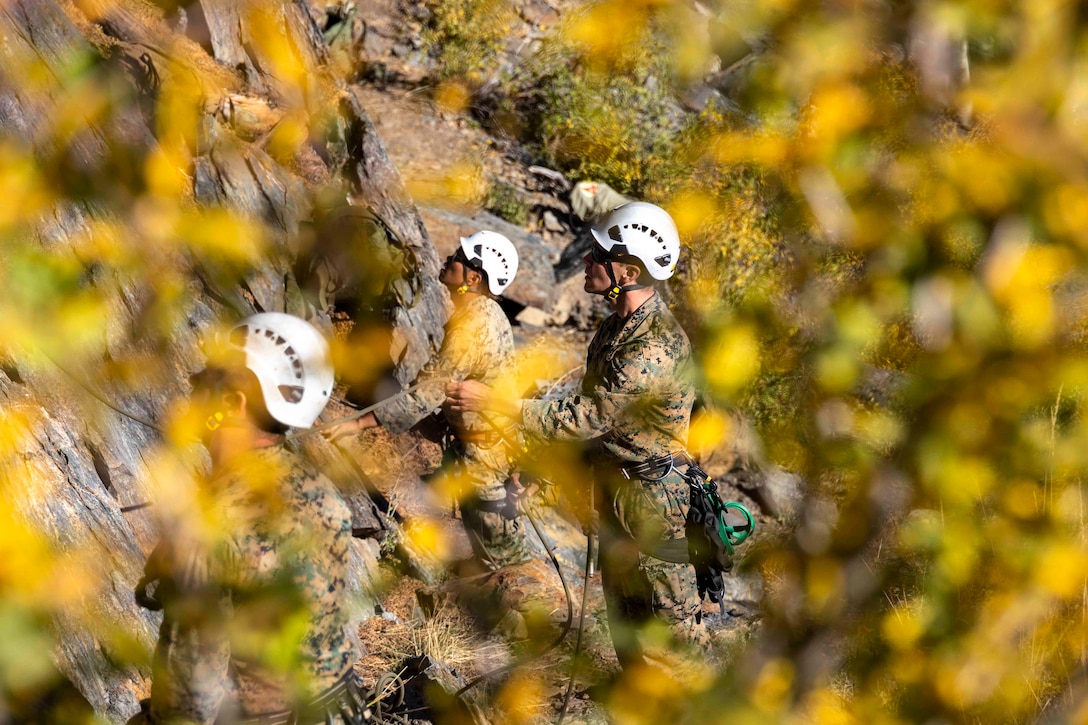 Marines seen through leaves climb up a mountain.