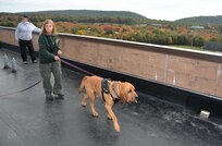 Terri Heck of Summit Search and Rescue guides her search dog, Stratton, during search-and-rescue training at the Combined Arms Collective Training Facility at Fort Indiantown Gap, Pa., Oct. 18, 2023. (Pennsylvania National Guard photo by Brad Rhen)
