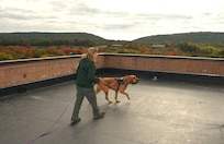 Terri Heck of Summit Search and Rescue guides her search dog, Stratton, during search-and-rescue training at the Combined Arms Collective Training Facility at Fort Indiantown Gap, Pa., Oct. 18, 2023. (Pennsylvania National Guard photo by Brad Rhen)