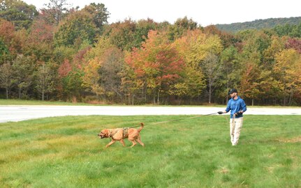 Cpl. Shane Kauffman of the York County Sherriff’s Department guides his search dog, Prince, during search-and-rescue training at the Combined Arms Collective Training Facility at Fort Indiantown Gap, Pa., Oct. 18, 2023. (Pennsylvania National Guard photo by Brad Rhen)