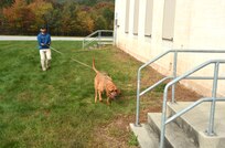 Cpl. Shane Kauffman of the York County Sherriff’s Department guides his search dog, Prince, during search-and-rescue training at the Combined Arms Collective Training Facility at Fort Indiantown Gap, Pa., Oct. 18, 2023. (Pennsylvania National Guard photo by Brad Rhen)