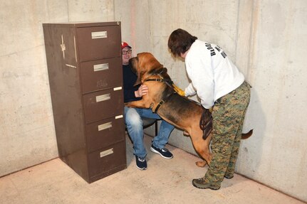 Dianne Thees, right, of Heaven Scent Search and Rescue watches as her search dog, Malikai, locates a role player portraying a missing person during search-and-rescue training at the Combined Arms Collective Training Facility at Fort Indiantown Gap, Pa., Oct. 18, 2023. (Pennsylvania National Guard photo by Brad Rhen)