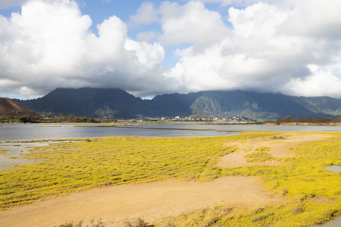A landscape photo of Nu’upia Fishpond highlighting the invasive plant species pickleweed (Batis maritima) before the first community work day of Paepae o He’eia, a private non-profit organization dedicated to caring for He’eia Fishpond, following the signing of the Memorandum of Understanding for co-stewardship of Nu’upia Fishpond Wildlife Management Area (WMA), Marine Corps Base Hawaii, Oct. 7, 2023. The work day was part of an ongoing effort to preserve the Nu’upia Fishpond WMA, a protected area of MCBH, consisting of shorelines/beaches, fishponds, wetlands, and vegetated areas that provide a habitat for endangered native species. (U.S. Marine Corps photo by Cpl. Chandler Stacy)