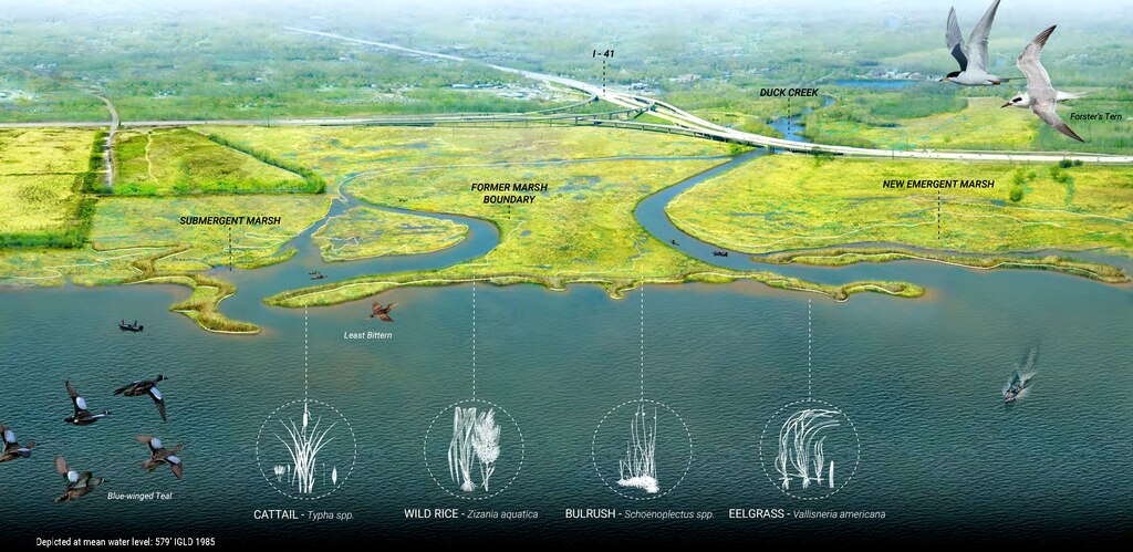 Using natural and nature-based features (NNBF), which are measures and techniques that can be incorporated into shore protection, improved coastal resilience can be achieved while producing additional economic, environmental and social benefits.