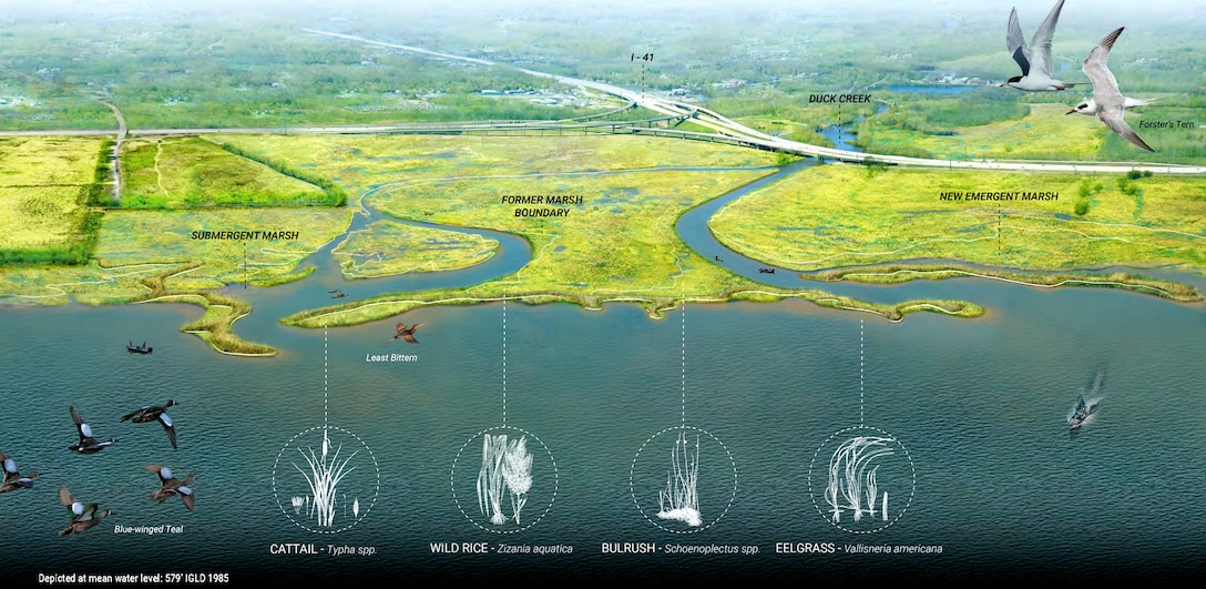 Using natural and nature-based features (NNBF), which are measures and techniques that can be incorporated into shore protection, improved coastal resilience can be achieved while producing additional economic, environmental and social benefits.