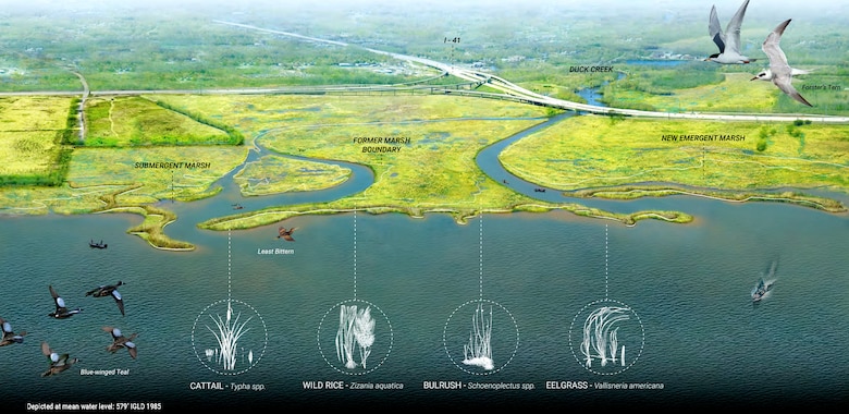 Using natural and nature-based features (NNBF), which are measures and techniques that can be incorporated into shore protection, improved coastal resilience can be achieved while producing additional economic, environmental and social benefits.