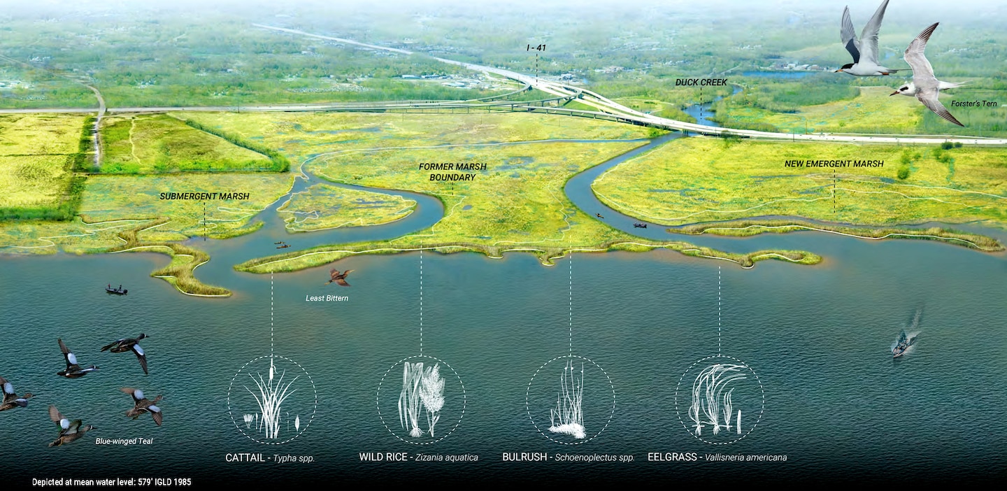 A green graphic depicting natural features like, water, grass and animals, overlap where they are located on a map.