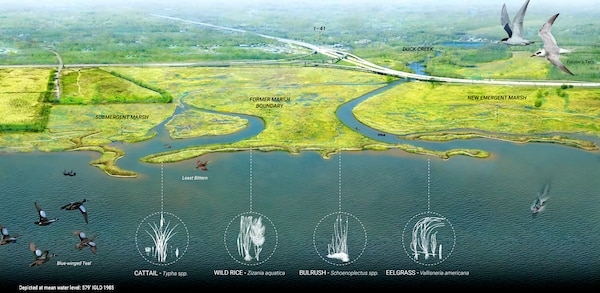 A green graphic depicting natural features like, water, grass and animals, overlap where they are located on a map.