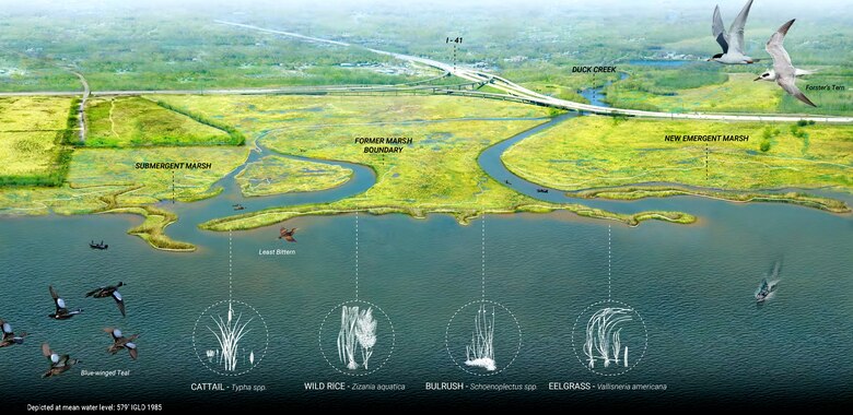 A green graphic depicting natural features like, water, grass and animals, overlap where they are located on a map.