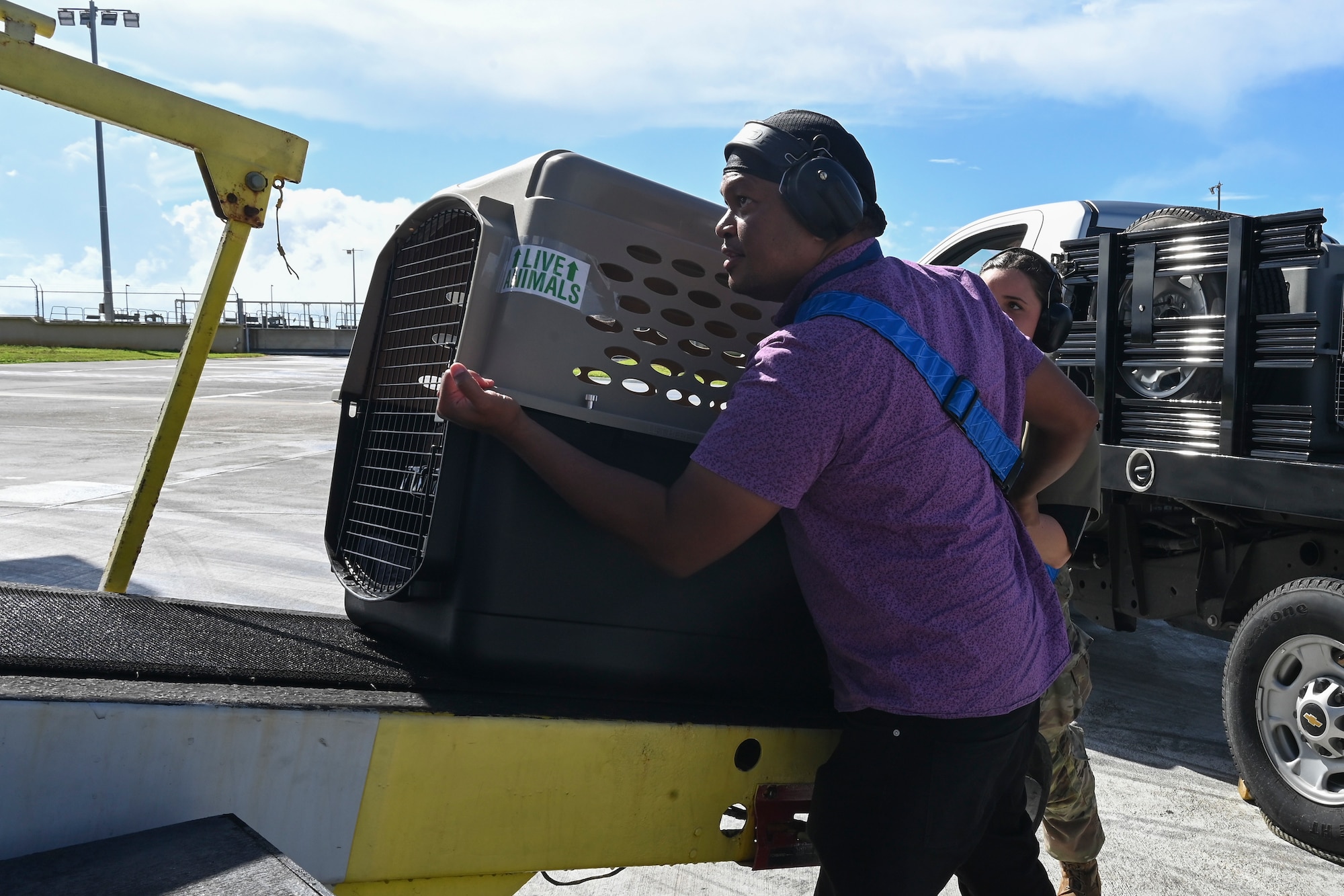 Members assigned to the 734th Air Mobility Squadron load pets onto the Patriot Express at Andersen Air Force Base, Guam, Oct. 19, 2023.