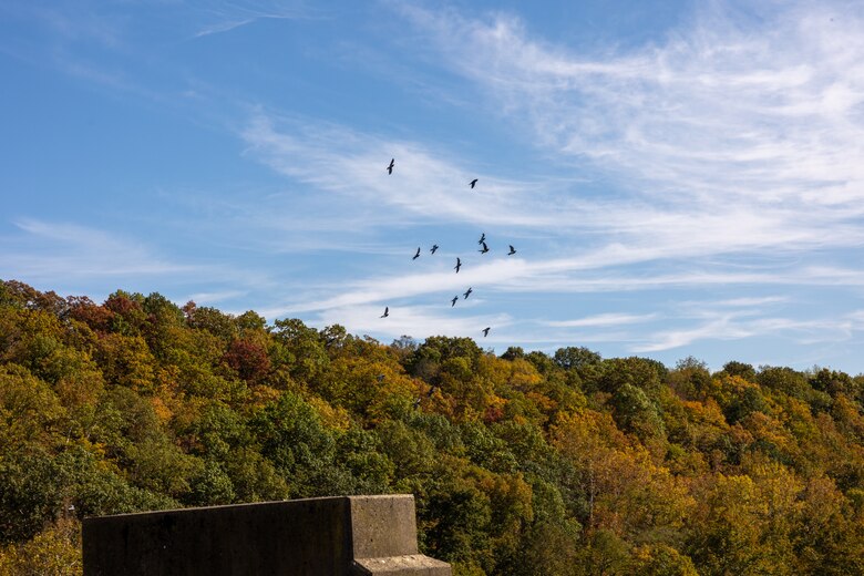 In a convergence of academia and real-world engineering, a group of students from the University of Pittsburgh’s Hydrologic Analysis and Design course explored the Conemaugh River Dam to expand their engineer learning beyond conventional classroom boundaries. Pigeons fly over the Conemaugh River Dam during a University of Pittsburgh tour of the dam in Saltsburg, Pennsylvania, Oct. 13, 2023.