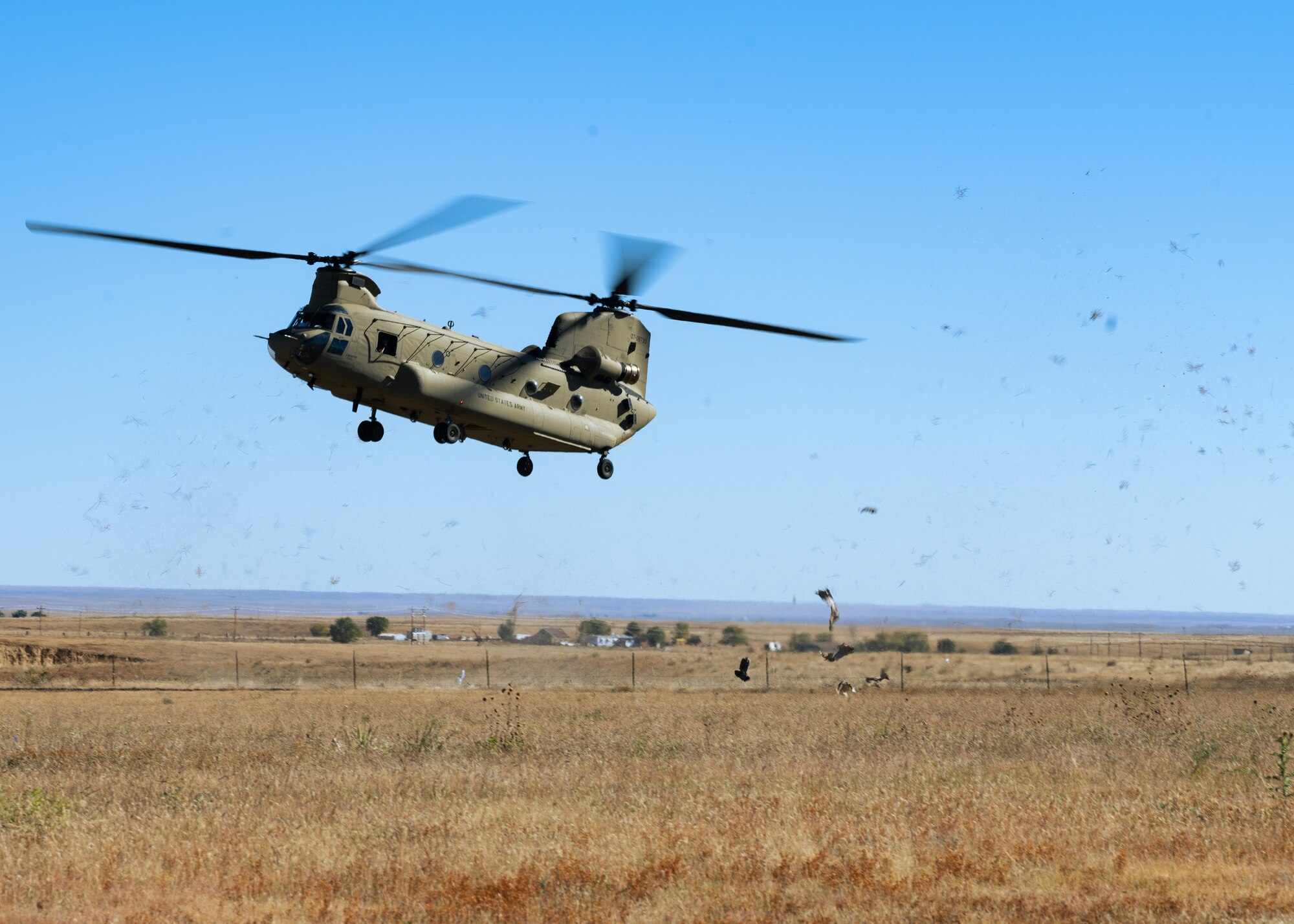 A Boeing CH-47 Chinook descends onto a helicopter landing zone on Schriever Space Force Station, Colorado, Oct. 19, 2023. Security Forces from four different installations partnered with a tier 1 NATO ally and Special Operations Forces for an air assault training exercise. (U.S. Space Force photo by SrA Kaitlin Castillo )