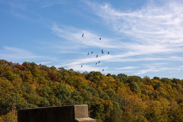 In a convergence of academia and real-world engineering, a group of students from the University of Pittsburgh’s Hydrologic Analysis and Design course explored the Conemaugh River Dam to expand their engineer learning beyond conventional classroom boundaries. Pigeons fly over the Conemaugh River Dam during a University of Pittsburgh tour of the dam in Saltsburg, Pennsylvania, Oct. 13, 2023.
