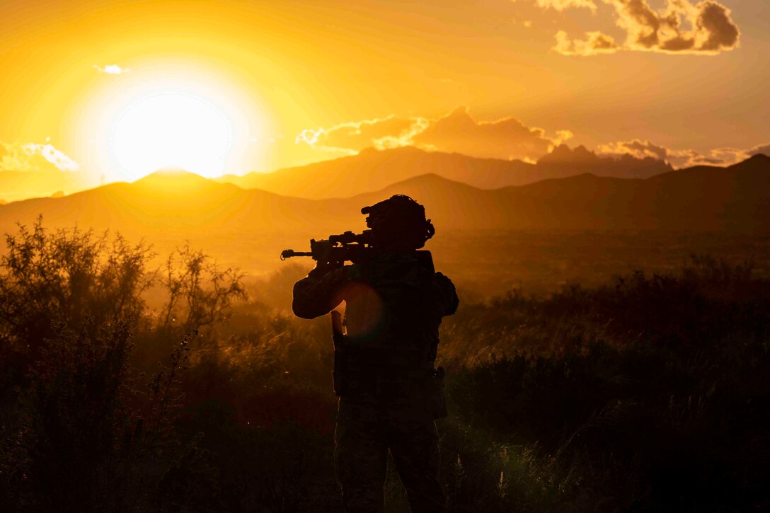 A service member shown in silhouette aims a weapon.
