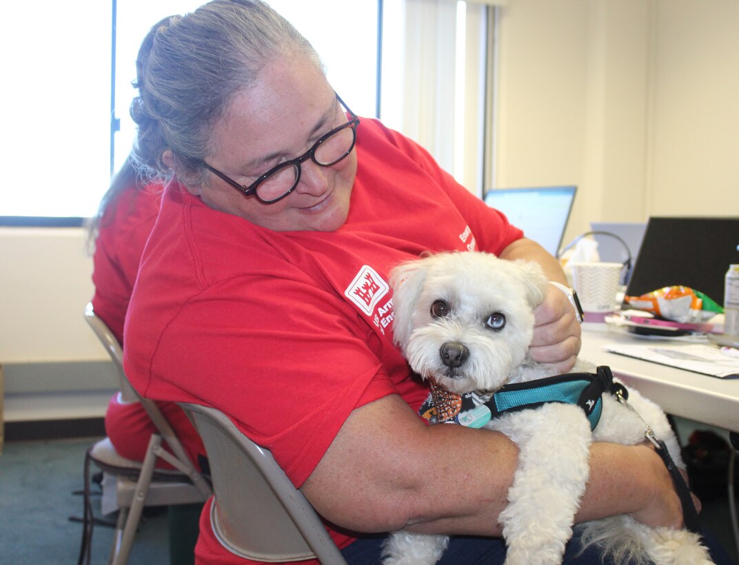 Lady in red USACE shirt holding therapy dog.