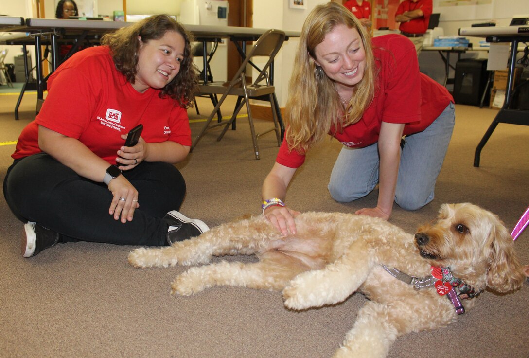 Women in USACE red shirts playing with therapy dog.