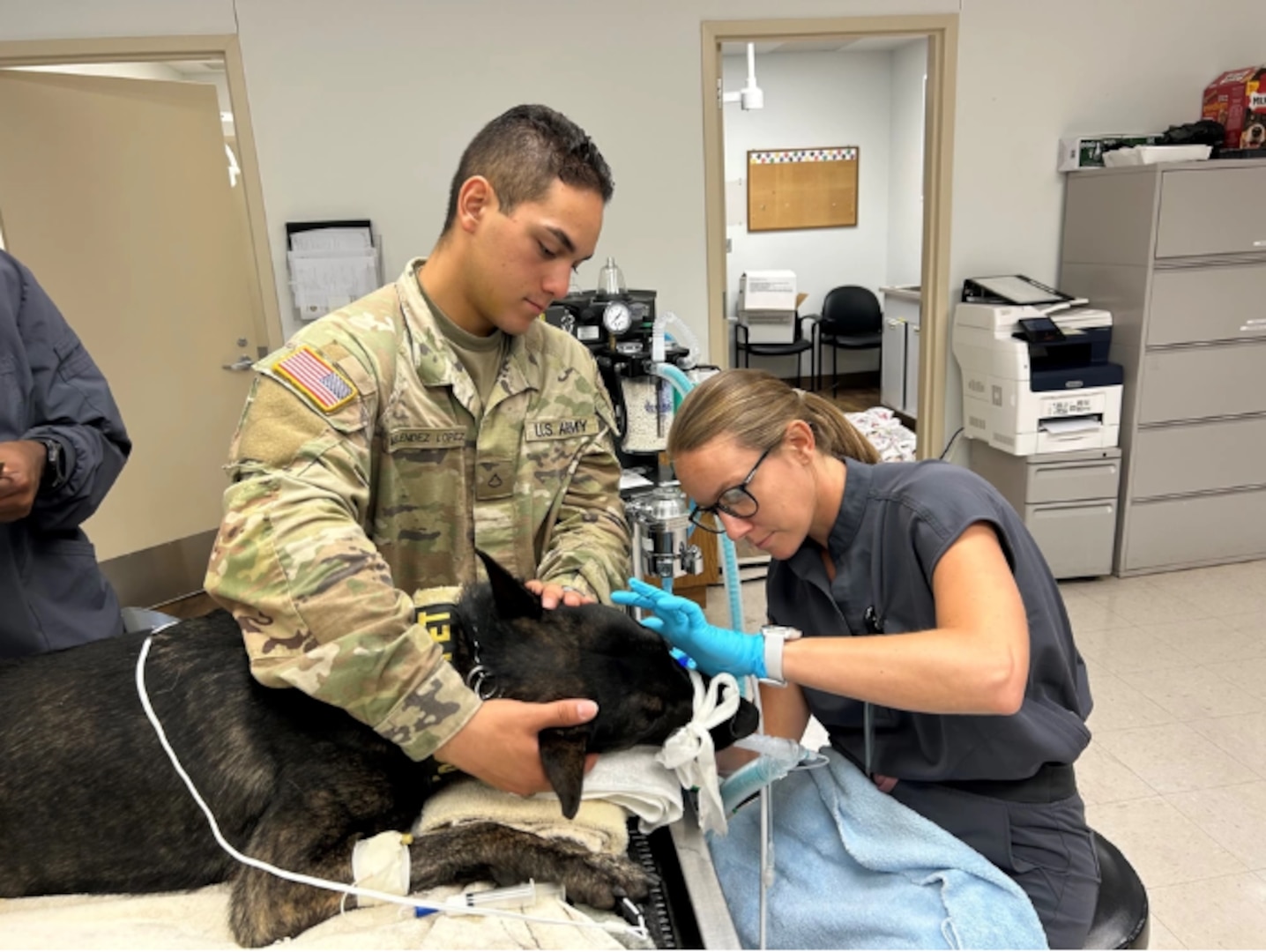 Caring for military working dogs’ dental health [Image 1 of 2]