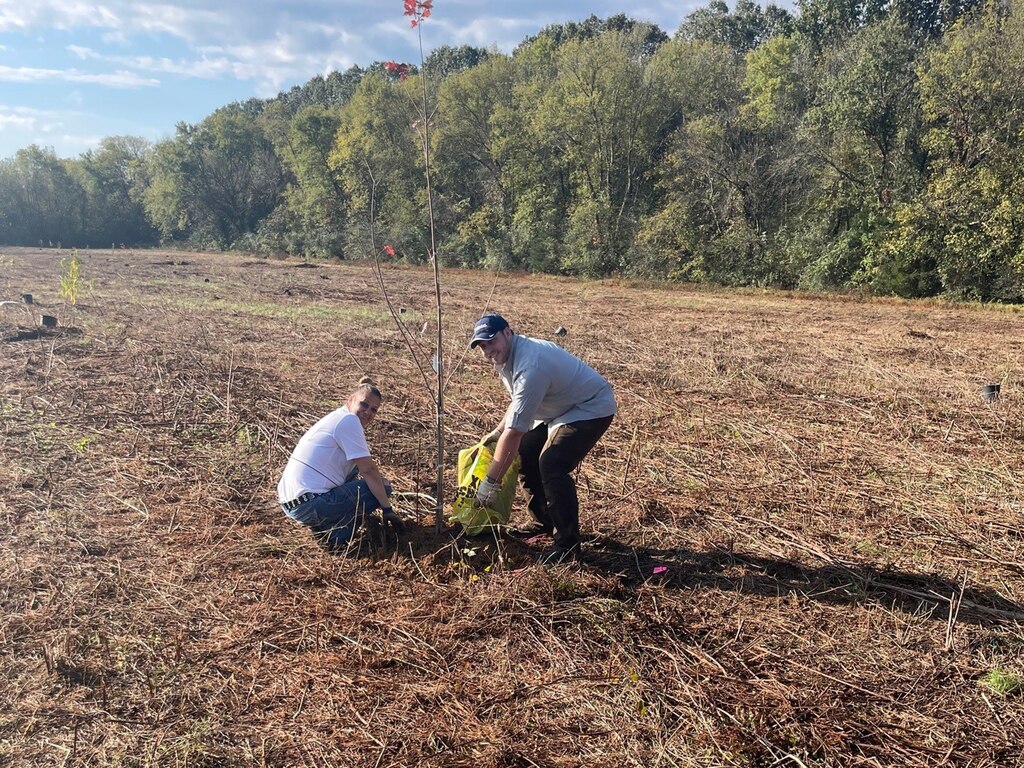 Lizzy Chambers, Friends of Cordell Hull Lake volunteer, and Benjamin Iles, Wildlife Society Tennessee Tech Chapter, plant a tree Oct. 20, 2023, on a six-acre plot of public land near the shoreline of Cordell Hull Lake in Gainesboro, Tennessee, for Tree Planting Day. (USACE Photo by Lucas Hix)