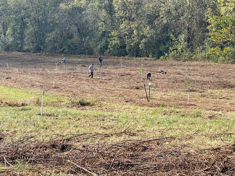 Volunteers plant a diverse range of nine native tree species Oct. 20, 2023, on a six-acre plot of public land near the shoreline of Cordell Hull Lake in Gainesboro, Tennessee, for Tree Planting Day. (USACE Photo by Lucas Hix)