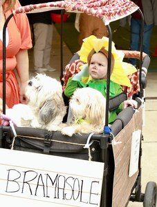 Sunflower Brynley Spraggs sits in the a carriage as pups Ivy and Sophia peer out  during the Illinois National Guard Family Programs "Trunk or Treat" on Oct. 28 on Camp Lincoln in Springfield, Illinois. The Illinois National Guard is also holding a Trunk or Treat for military families on Sunday, Oct. 29, 1-4 p.m., at the North Riverside Armory,