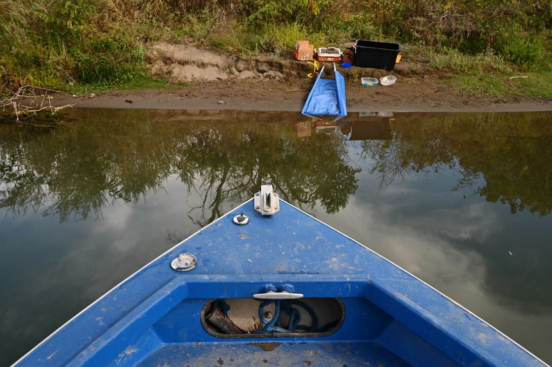 For the past four years, fish biologists with U.S. Army Corps of Engineers Sacramento District Planning Division have spent Mondays and Fridays from September through October on the 300-mile-long river where it passes through Hamilton City, angling in a 20-foot fishing hole favored by green sturgeons.
But they’re not there for sport. They’re there to help recover the species that since 2006 has been listed as threatened under the Endangered Species Act.