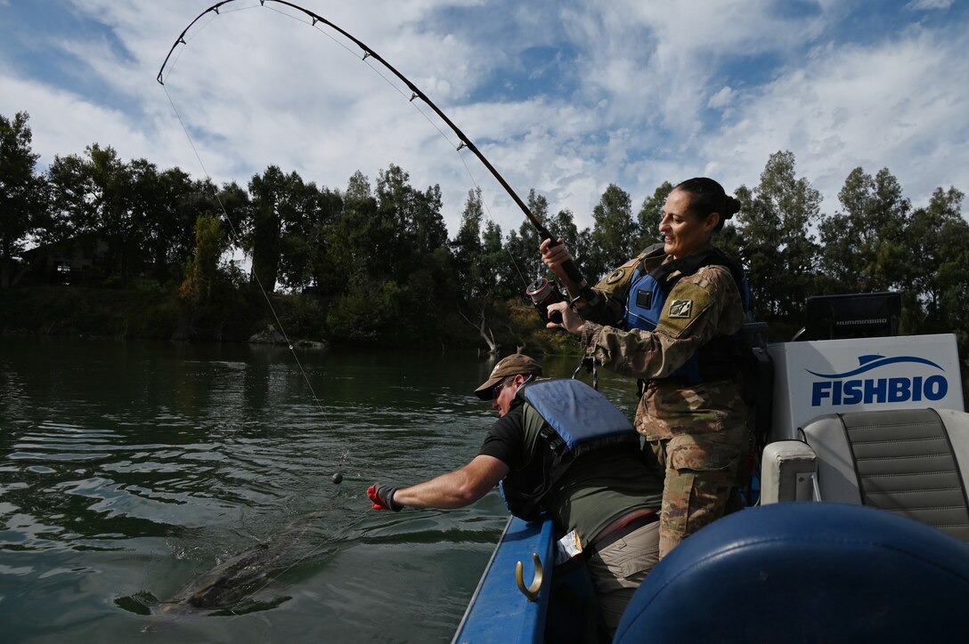 Lt. Col. Dianna Lively and U.S. Army Corps of Engineers reels in a 78.5-inch a North American green sturgeon as senior fisheries biologist Robert Chase helps pull the fish closer to their boat during a an October 13, 2023 telemetric tagging expedition on the Sacramento River in Hamilton City, California.