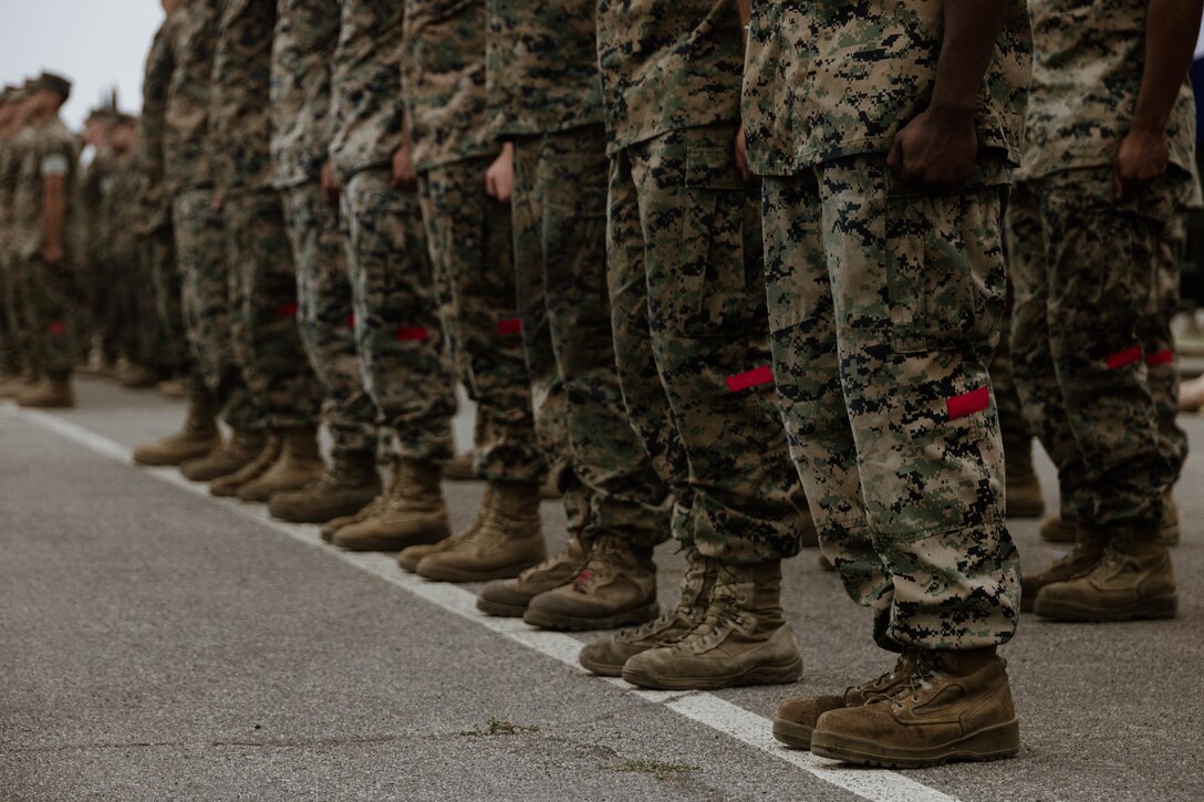 U.S. Marines with 1st Distribution Support Battalion, Combat Logistics Regiment 1, 1st Marine Logistics Group, stand in formation during a unit redesignation and activation ceremony at Camp Pendleton, California, Oct. 19, 2023. 1st Landing Support Battalion was redesignated to 1st DSB as part of the Commandant of the Marine Corps’ Force Design 2030 initiative. (U.S. Marine Corps photo by Cpl. Casandra Lamas)