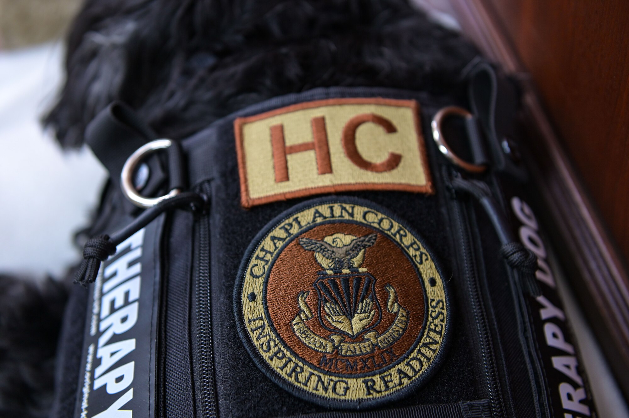 Monk adorns a patch given to him by Chaplain (Maj. Gen.) Randall E. Kitchens, Chief of Chaplains for the Department of the Air Force, Second Chief of Chaplains of the United States Space Force in the 14th Flying Training Wing Chapel on July 19, 2023. Monk was also given an HC patch that he wears along with his Therapy Dog markings on his vest.