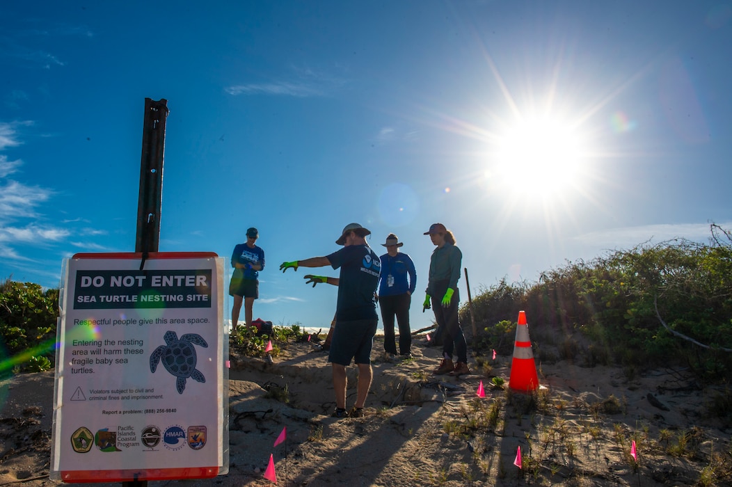 Biologists talk at the sea turtle nest, with a turtle nest sign in the foreground