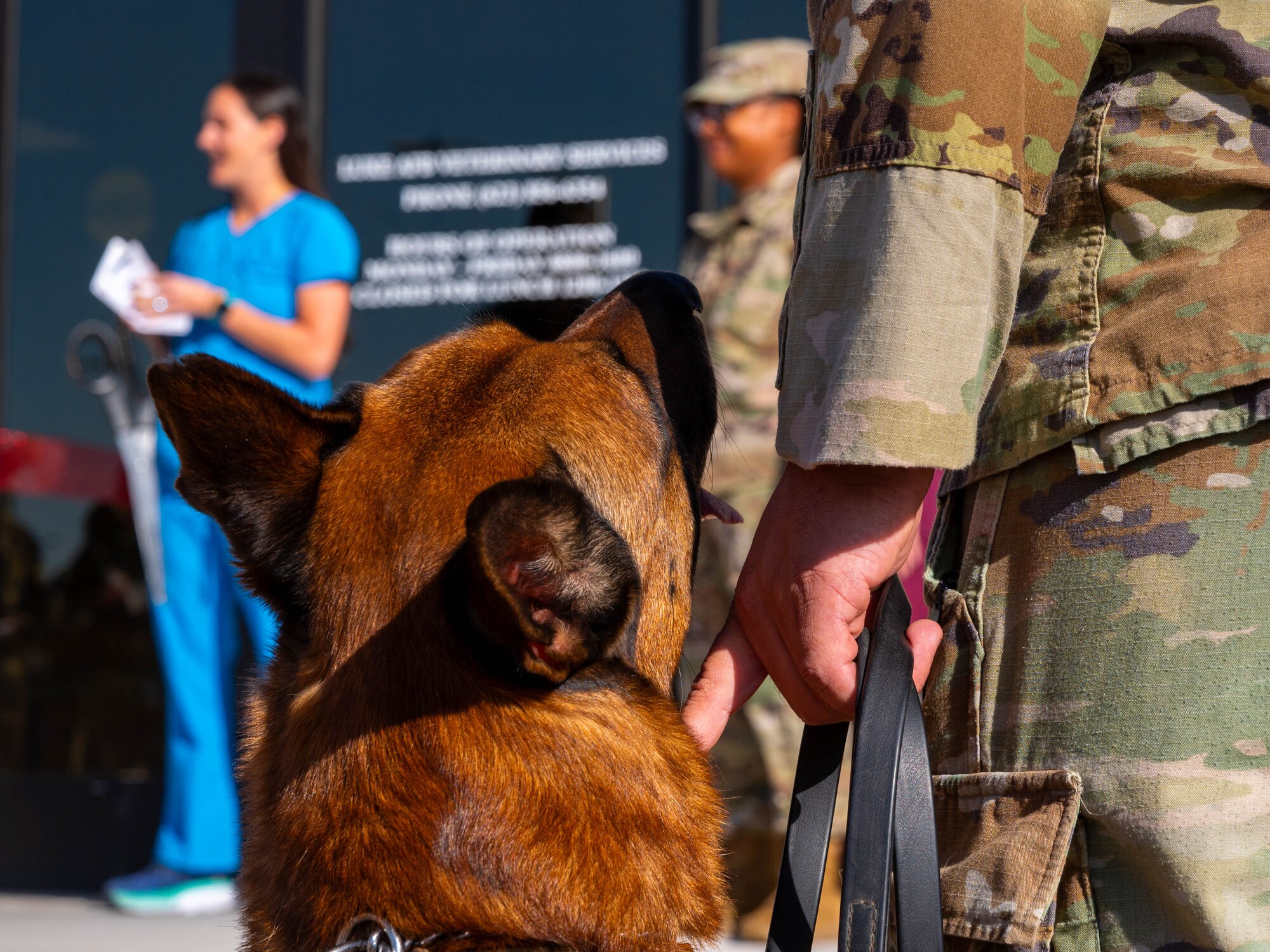 A military working dog looks at their handler during the new Luke Air Force Base Veterinary Treatment Facility’s ribbon cutting ceremony, Oct. 23, 2023, at Luke Air Force Base, Arizona.
